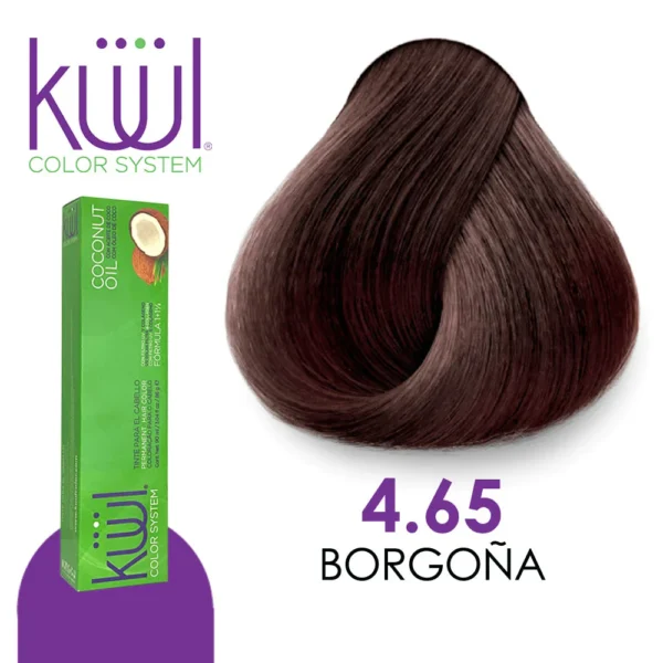 Tinte 4.65 Borgoña