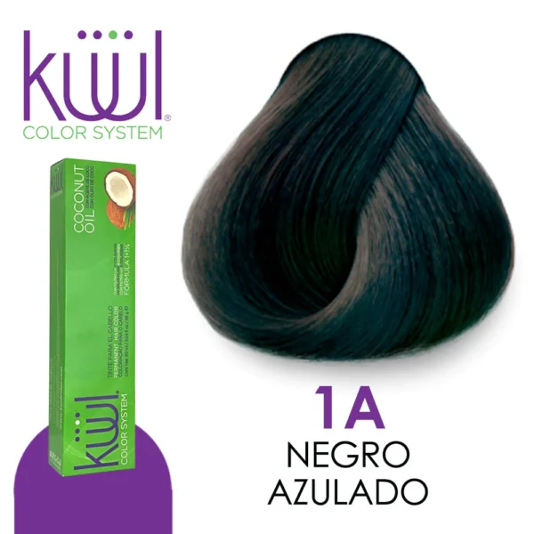 1A Negro Azulado